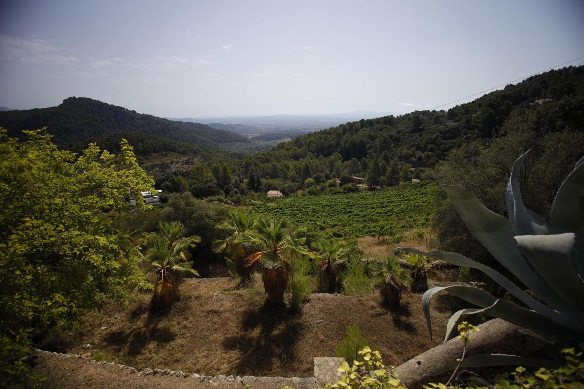 Posada Del Marques Esporles Exteriér fotografie